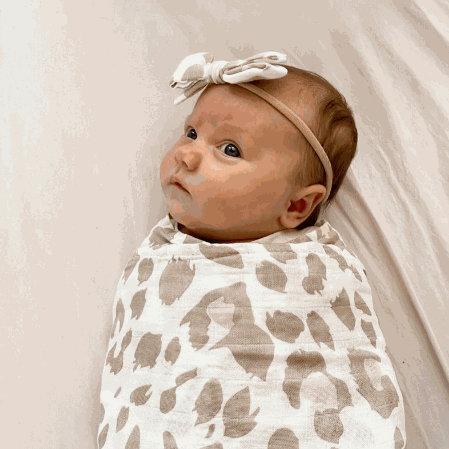 Leopard Print Petite Baby Bow