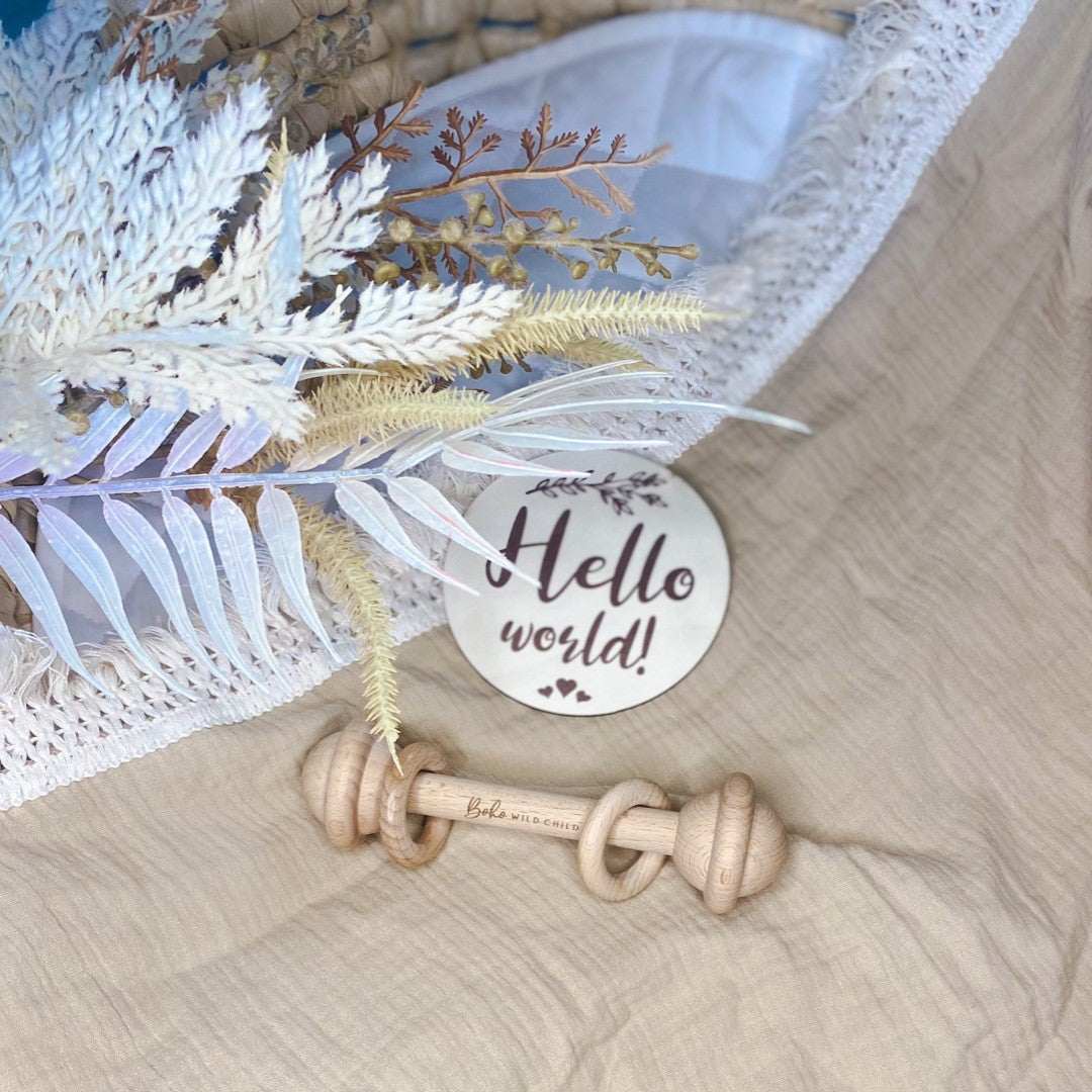 Hello world baby announcement disc