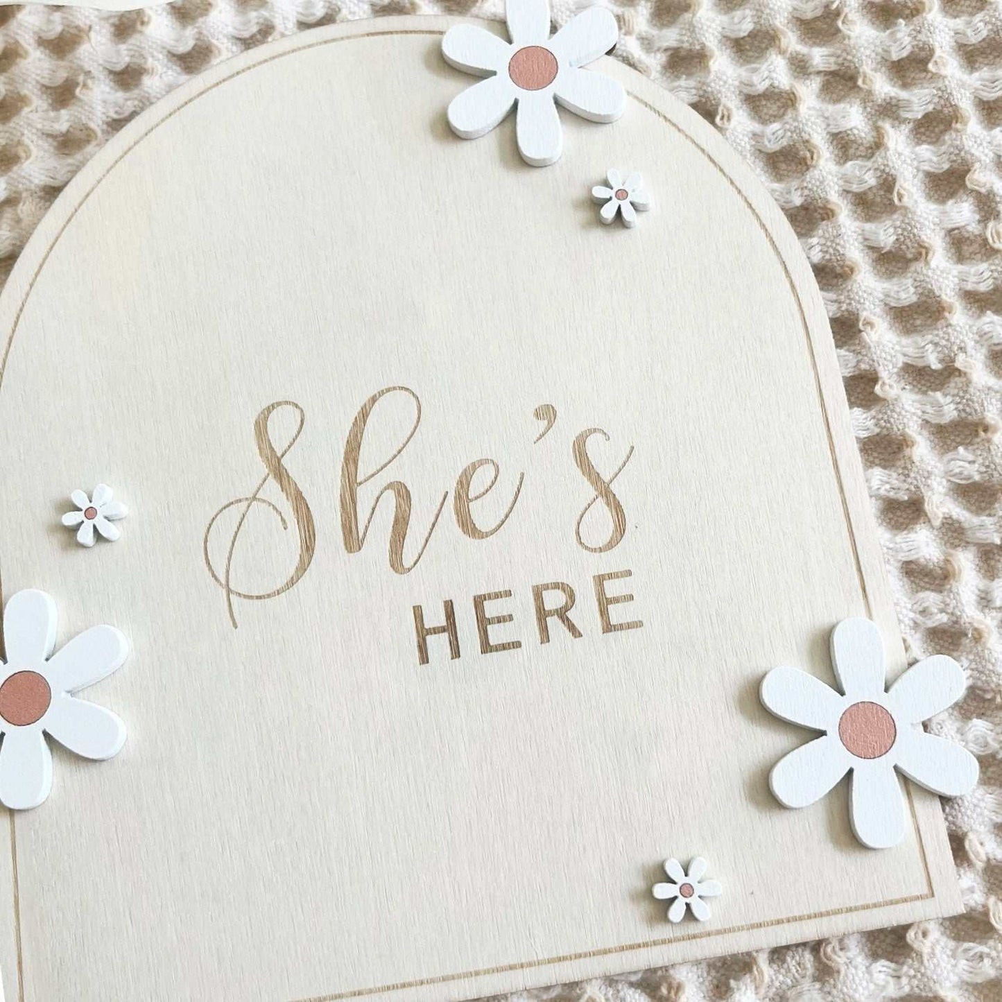 Birth announcement disc. Daisy announcement disc. Grand entrance. delicate white daisy disc.