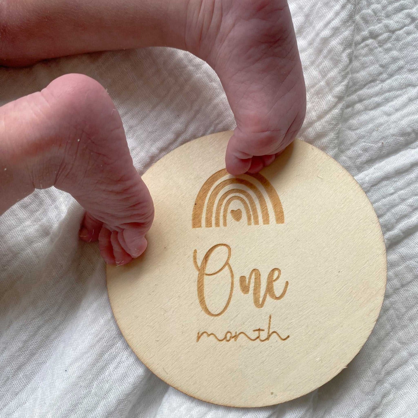 Rainbow Milestone Discs - 13 piece set