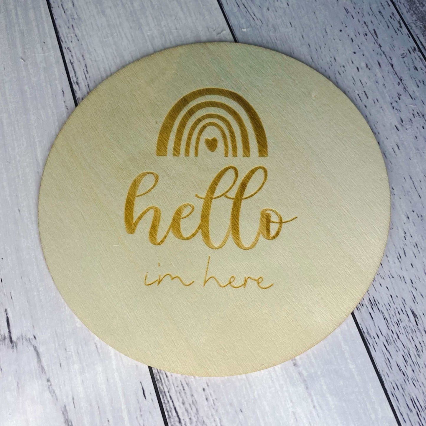 Rainbow Milestone Discs - 13 piece set