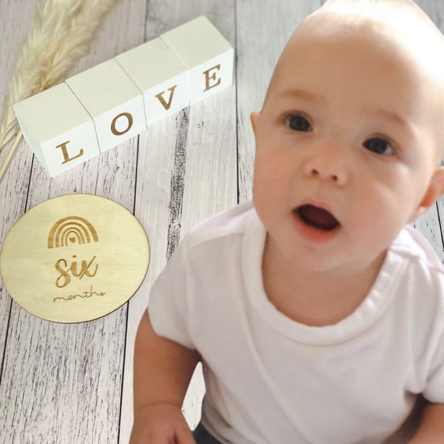 Rainbow Milestone Discs - 13 piece set