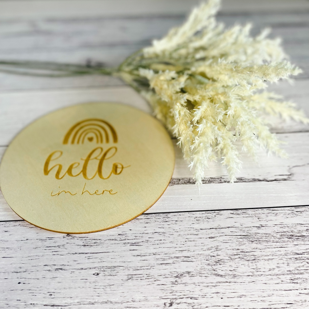 Rainbow Milestone Discs - 13 piece set