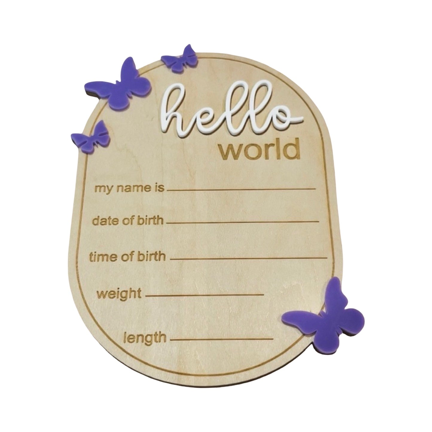 Hello world butterfly birth announcement disc 
